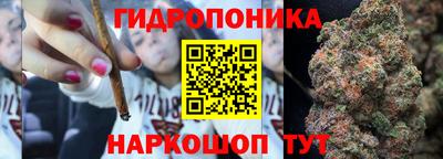 шишки Гусь-Хрустальный